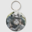 Search for chimp key rings Animal