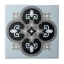 Search for kitchen backsplash tiles Spanish