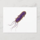Search for bacterium postcards Microbe