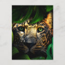 Search for jaguars postcards Jungle