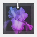 Search for iris christmas tree decorations Petals