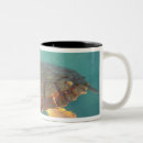 Search for green sea turtle mugs Underwater
