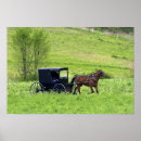 Search for horse buggy posters Amish