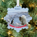 Search for polar christmas tree decorations Penguin