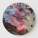 Search for turkey clocks Poultry