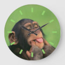 Search for chimpanzees clocks Chimps