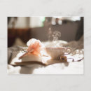 Search for hot drinks postcards Tea