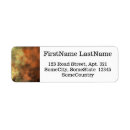 Search for orange grey return address labels Yellow