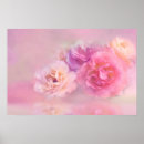 Search for carnations posters Botanical