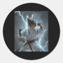 Search for martial arts stickers Japan