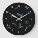 Search for hummingbirds clocks Drawing