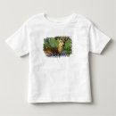 Search for odocoileus tshirts Deer