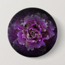 Search for backyard badges Nature