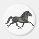 Search for racer magnets Horse