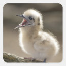 Search for hawaiian islands stickers Cute