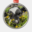 Search for cute cow christmas tree decorations Baby