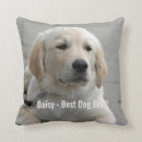 Search for dog face cushions Golden retriever