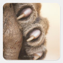 Search for body part stickers Wildlife