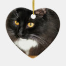 Search for long haired cat christmas tree decorations Cute