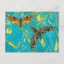 Search for moths postcards Blue