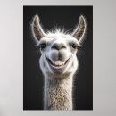 Search for funny llama posters Alpaca