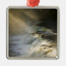 Search for rapids christmas tree decorations Scenic