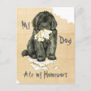 Search for newfoundland postcards Newfie