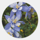 Search for columbine flower stickers Purple