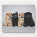 Search for chow mousepads Funny