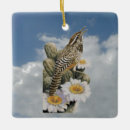 Search for wren christmas tree decorations Nature
