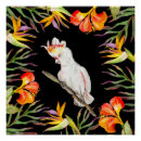 Search for parrot posters Cute