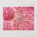 Search for sexuality postcards Biomedical illustrations