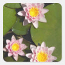 Search for small group of objects Flower