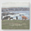 Search for newfoundland coasters Ocean