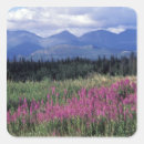 Search for public land stickers Environment