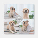 Search for pet magnets Dog