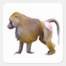 Search for baboons stickers Monkey