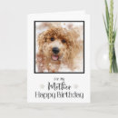 Search for labradoodle cards Doodles