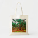 Search for deciduous forest Landscape