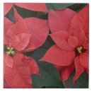 Search for detail tiles Botanical