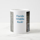 Search for florida wildlife mugs Pelican