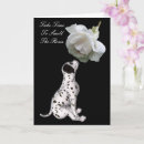 Search for smells cards For her