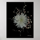 Search for mother of pearl art Pearls