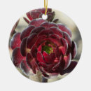 Search for succulent christmas tree decorations Cactus