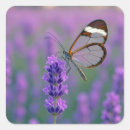 Search for transparent square stickers Flower