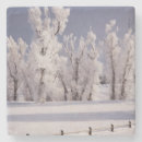 Search for colorado coasters Landscape