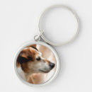 Search for jack russell terrier key rings Pet
