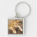 Search for one animal key rings Tiger