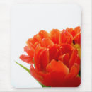 Search for tulip photos mousepads Nature