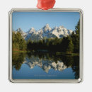 Search for scene christmas tree decorations Blue